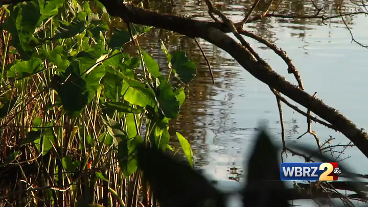 Neighbors want answers after finding dead dog floating in apartment complex lake
