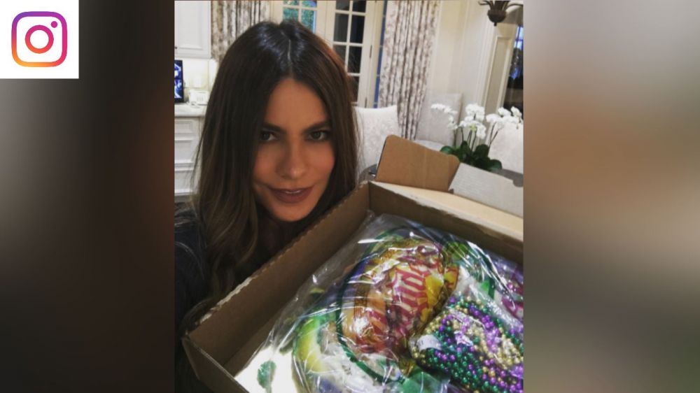 Sofia Vergara shares picture of king cake, says she's ready for Mardi Gras
