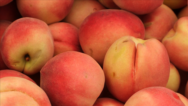 Deep South freeze means fewer blueberries and peaches