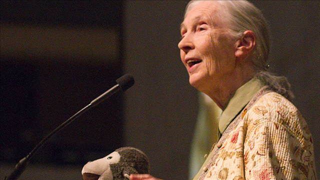 Conservationist Jane Goodall to speak at Tulane University