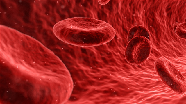 FDA links rare cancer, 9 deaths, to textured breast implants