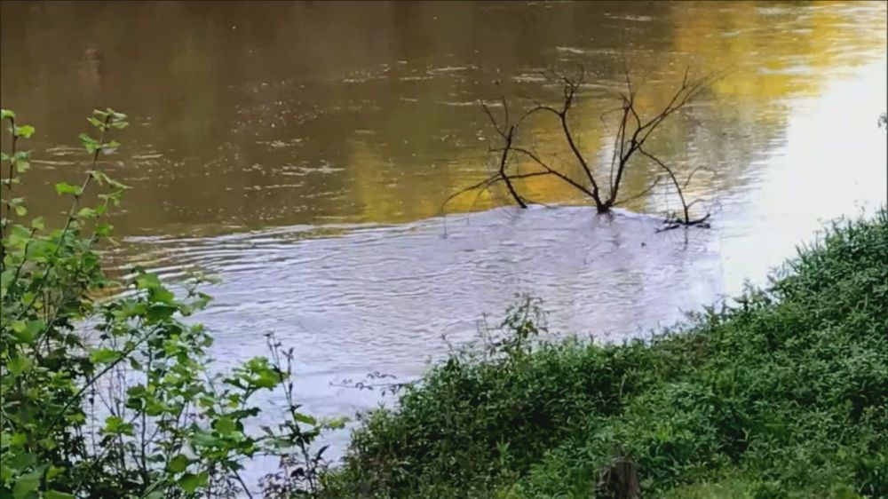 Despite expert opinions, rainy weather concerns residents near Amite River