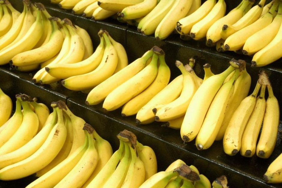 Spain: Drug dealers use fake bananas to transport cocaine