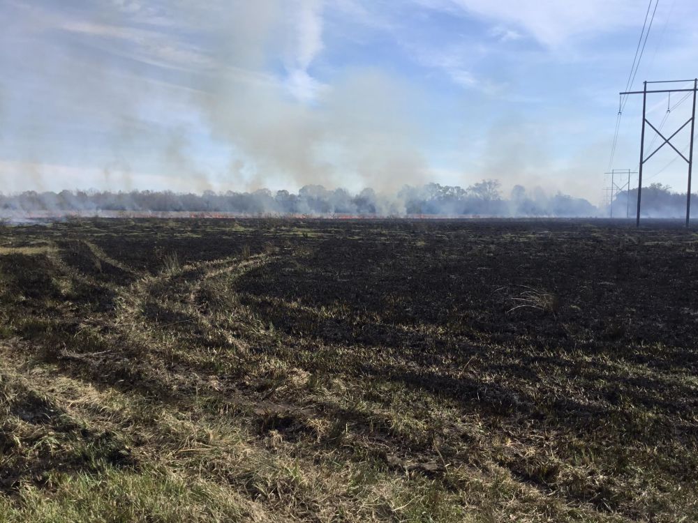 Firefighters respond to large brush fire in Zachary