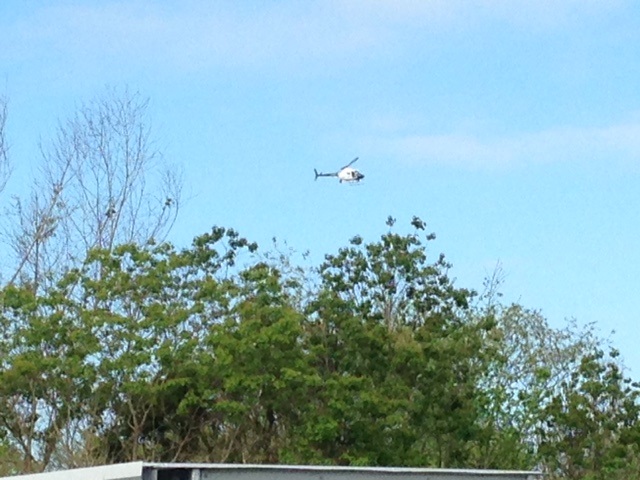 Law enforcement activity reported around wooded area of Burbank