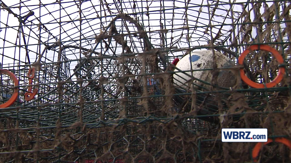 Crabbers feeling impact of month-long crab ban