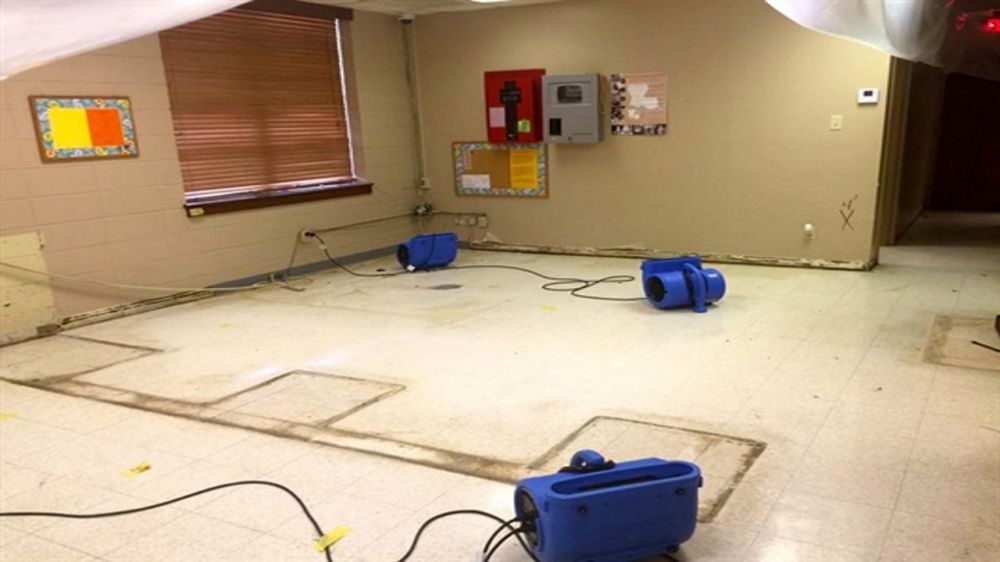 Springfield High School to receive grant to rebuild flood-damaged library