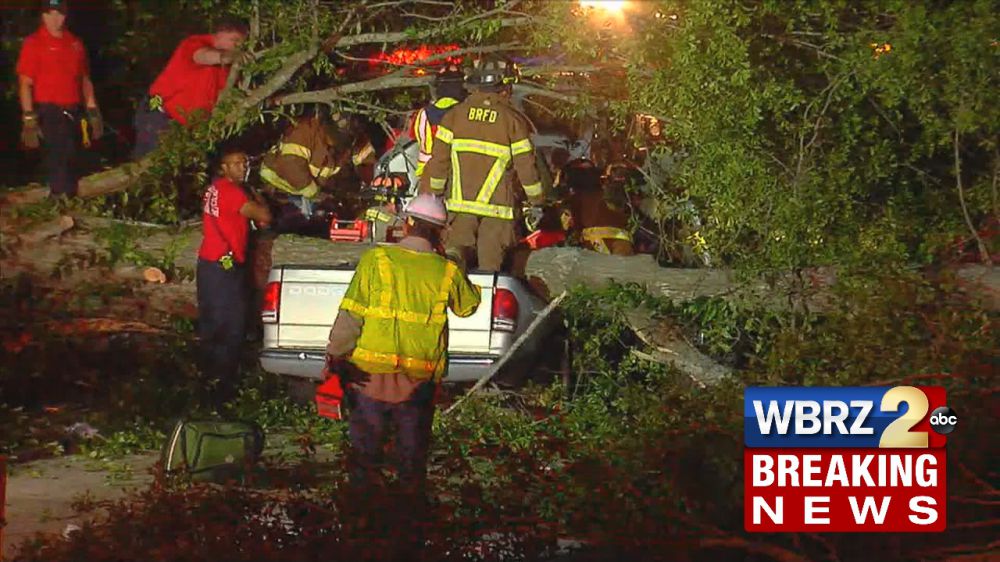 Tara without power after tree falls on car