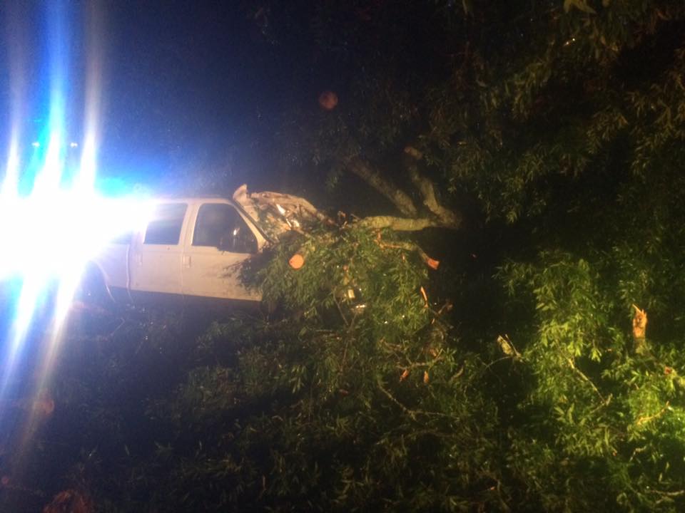 Tree falls on pickup truck near Pride