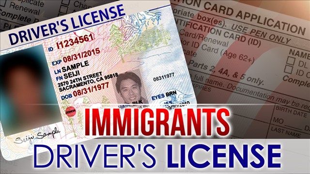 Study: Immigrant driver's licenses may ease hit-run crashes
