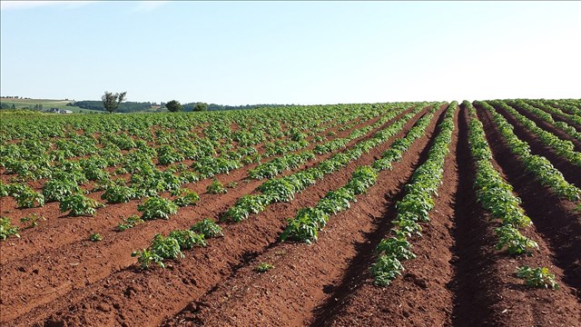 Louisiana ag chief urges farmers to participate in census