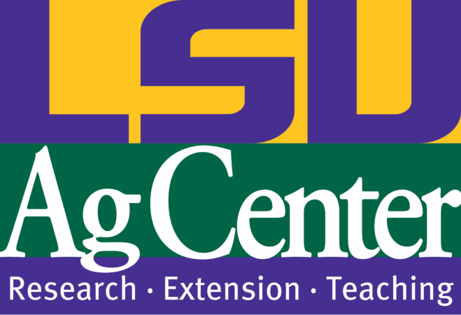 LSU AgCenter wants 'Tiger Tasters' to try new food products