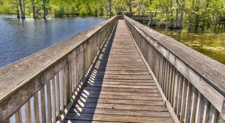 Cash crunch has Louisiana parks seeking money-raising ideas