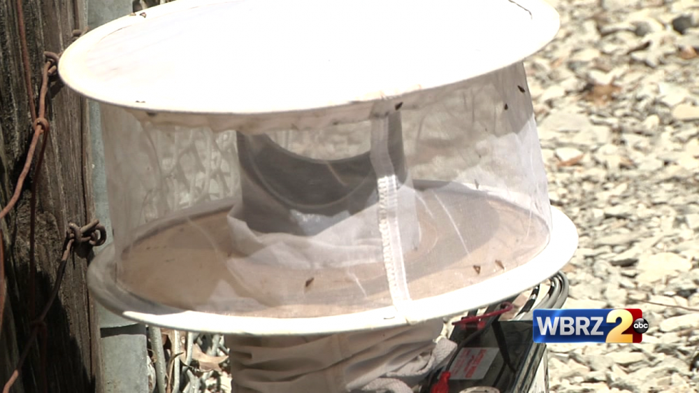 Online resource allows WBR residents to track mosquitoes