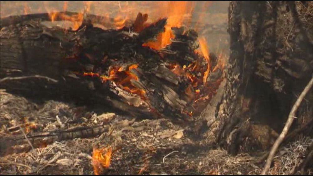 Refuge wildfire grows near Georgia-Florida line