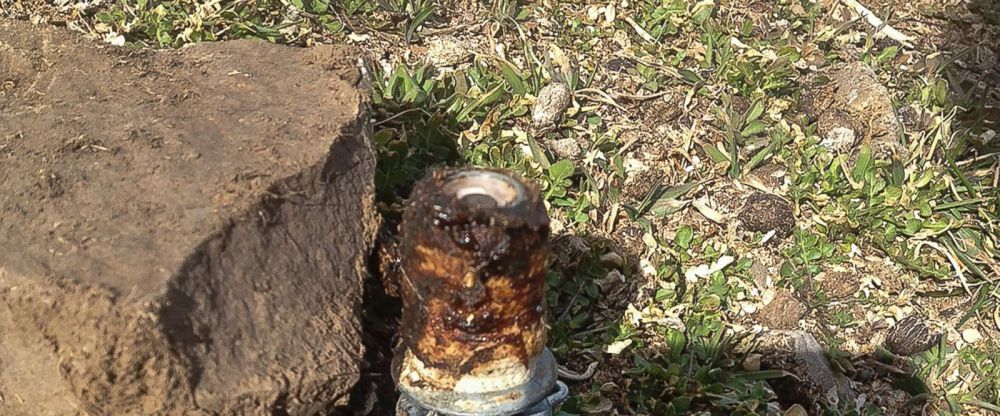 US temporarily bans use of cyanide predator traps in Idaho