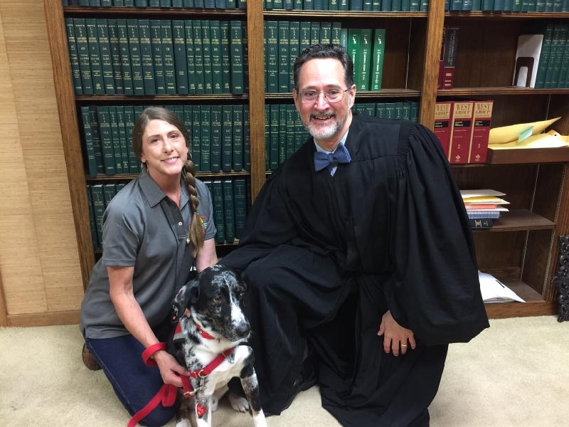 Therapy dog program debuts in Louisiana juvenile court
