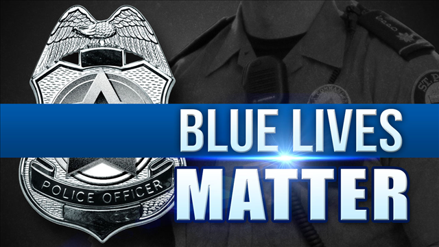 New 'Blue Lives Matter' laws raise concerns among activists