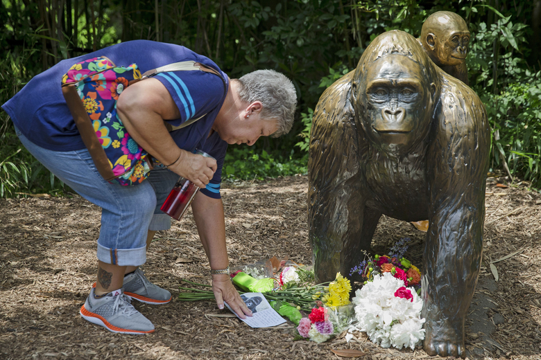 No public events planned for one-year anniversary of Harambe's death