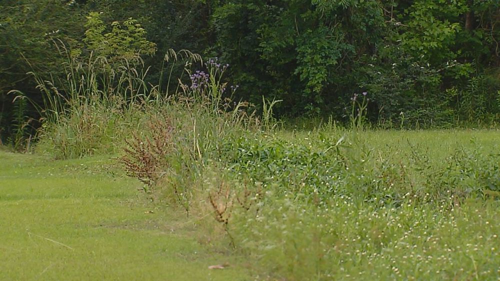 Missing work order found, drainage ditch to be cleaned