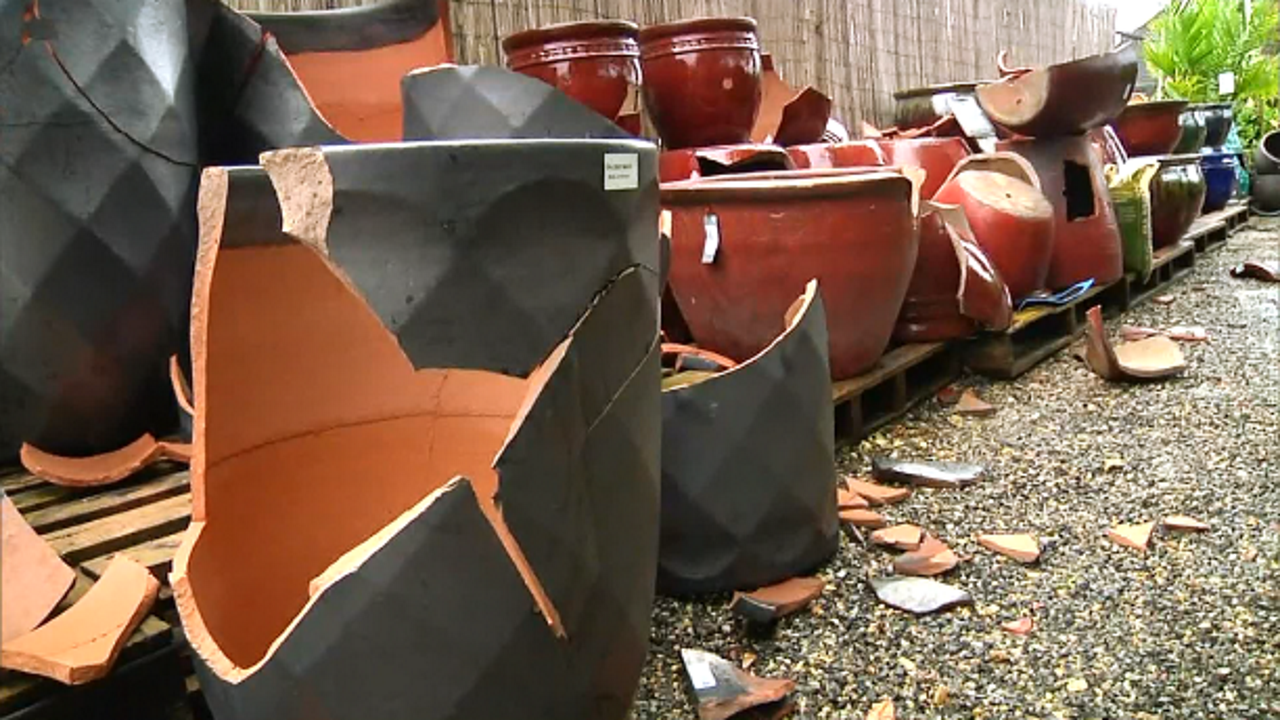 Coursey Blvd. gardening business vandalized, owner says more than $10,000 in damages