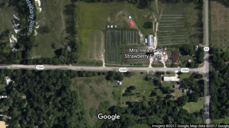 67-year-old woman dies in crash on LA 1064 in Livingston