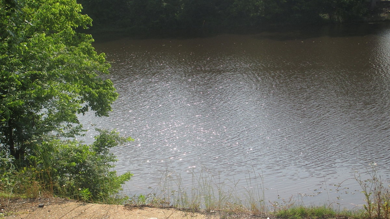 Texas Girl Scouts rescued from bayou in Natchitoches