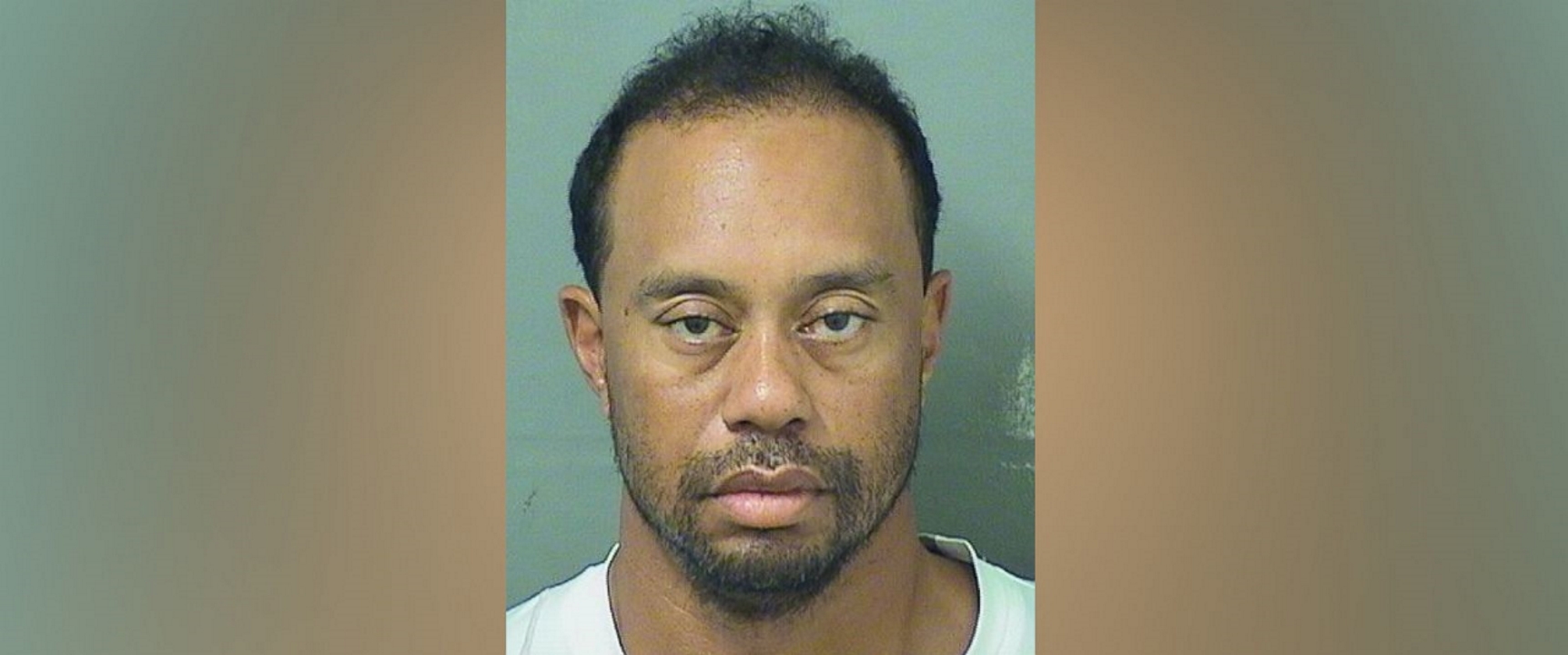 Officers found Woods asleep at the wheel