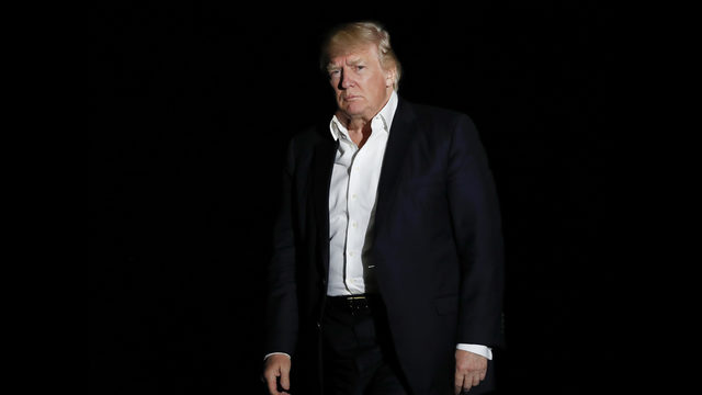 Trump calls Russia probe 'a total hoax'