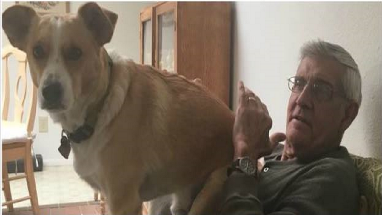 Police seek missing Zachary doctor