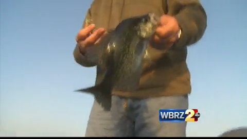 Fishing to be license-free in Louisiana June 10-11