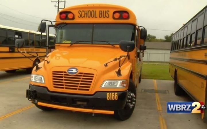 No injuries reported after school bus rear-ended in Livingston Parish