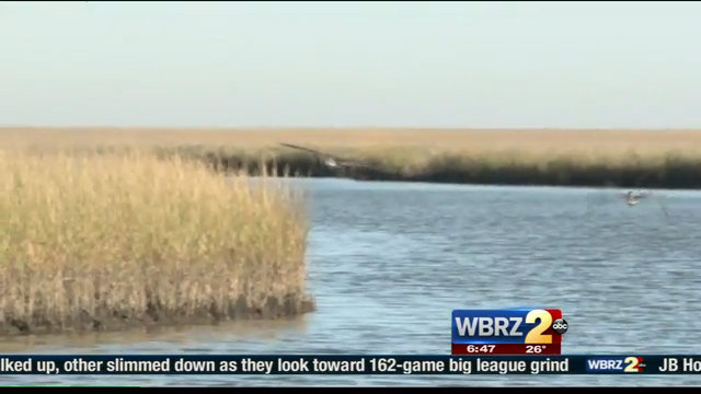 Louisiana coastal land loss declared a state emergency