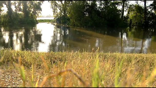 Edwards says wetlands needs priority over roads in request to federal government