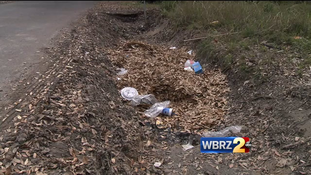 Mayor's parish-wide cleanup set for April 1