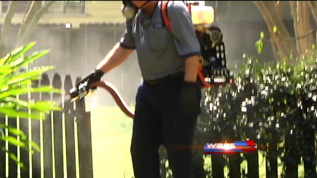 Mosquitoes could be worse this season, EBR started spraying