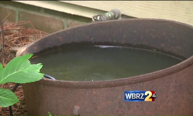 Officials warn residents of more mosquitoes to come after severe rain