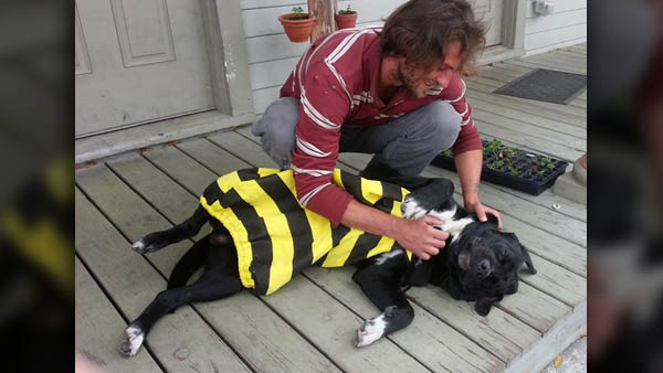 Former policer officer who shot dog gets 1 year probation