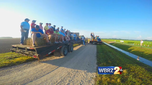 Rice farmers hope Cuban trade could spur local boost