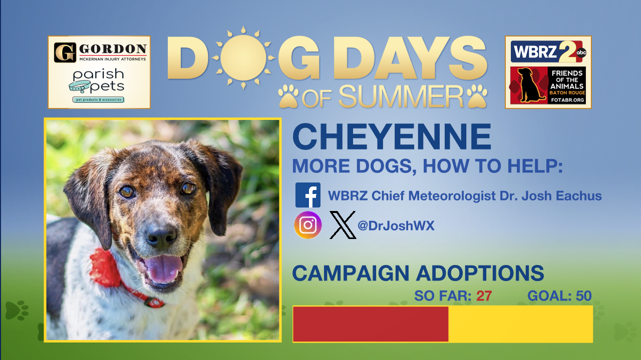 Dog Days of Summer 2026 — WBRZ