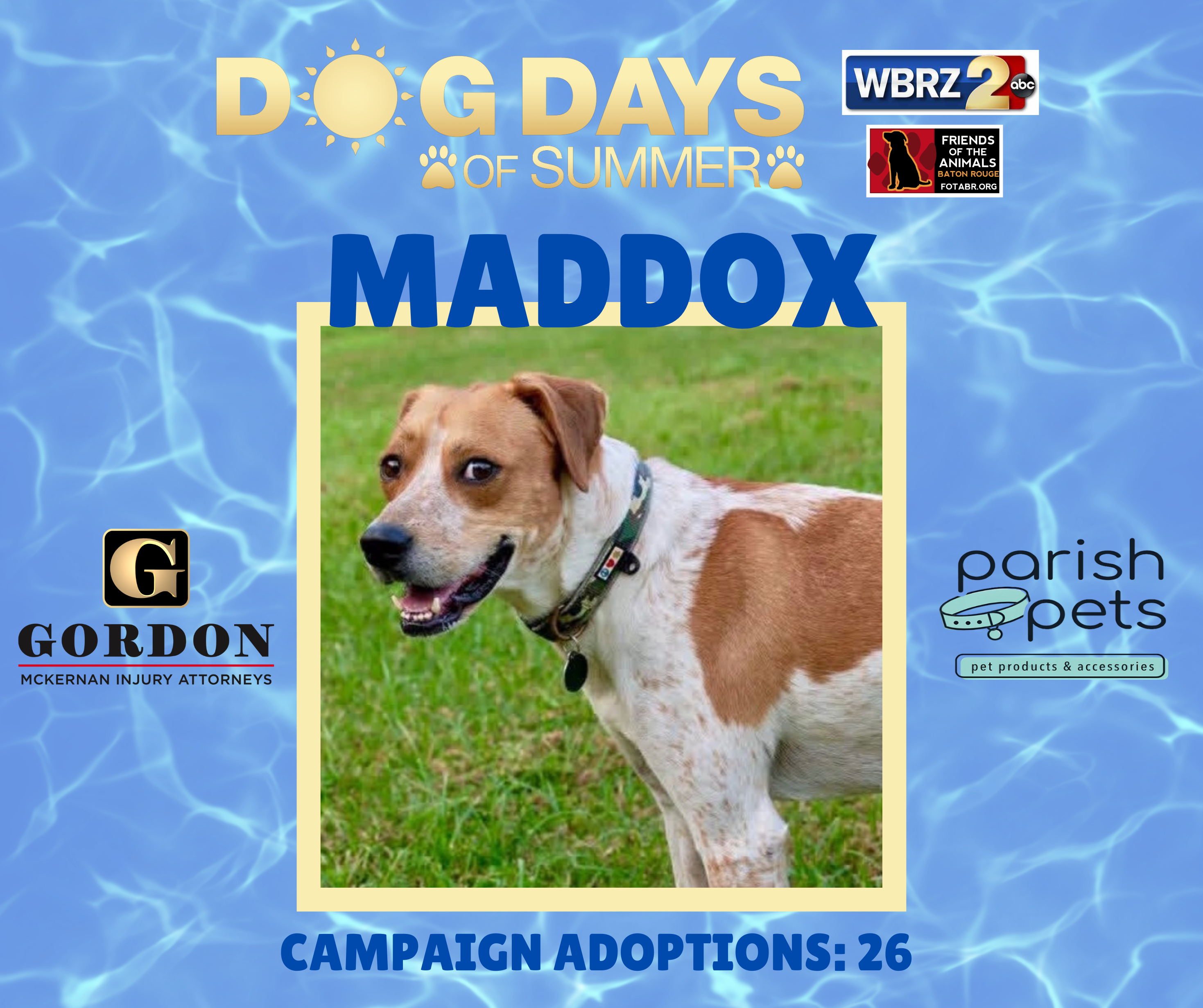 Dog Days of Summer 2026 — WBRZ