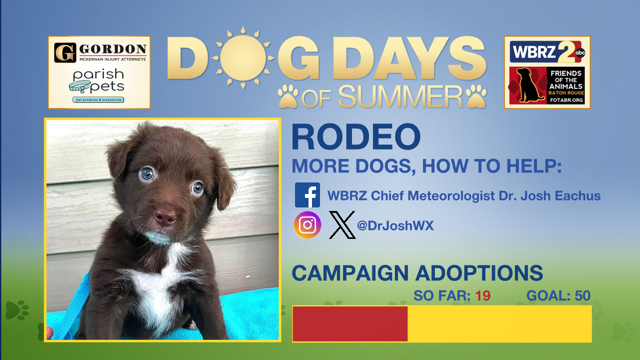 Dog Days of Summer 2026 — WBRZ